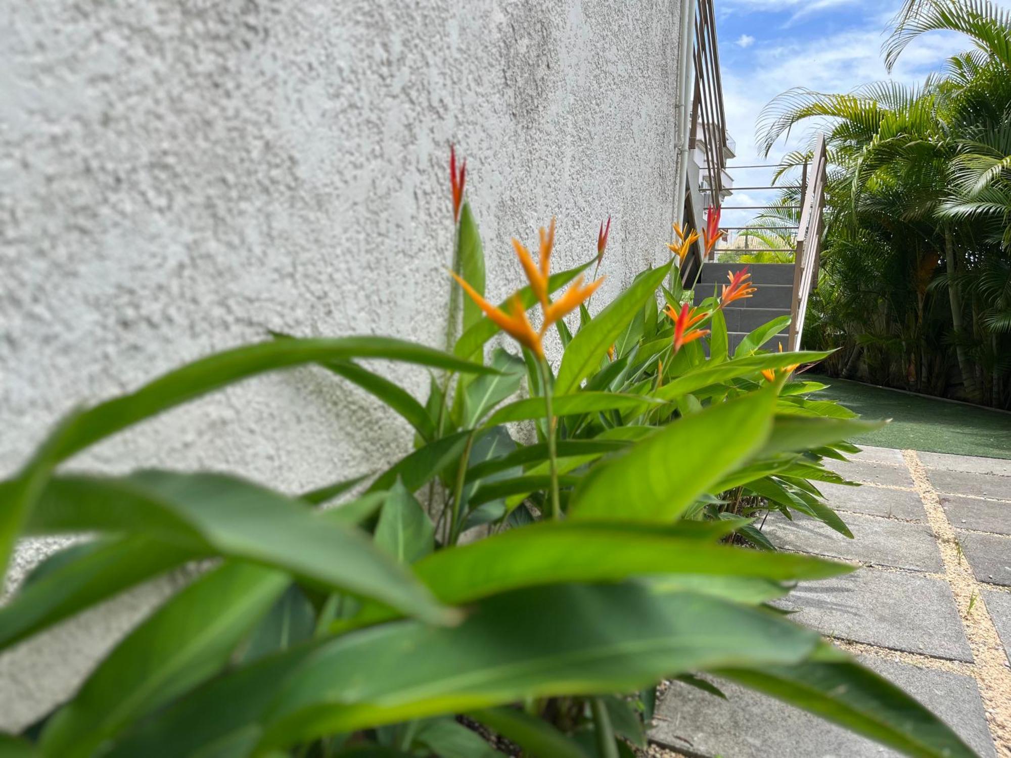 Cosy 2 Bedrooms Apts In Pereybere -Seasons Break Apartment Pereybere Beach Buitenkant foto